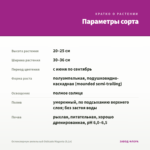 Остеоспермум ампельный Osticade Magenta (0,1л) — параметры сорта