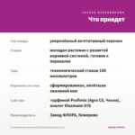 Остеоспермум ампельный Osticade Magenta (0,1л) — что приедет