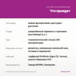 Остеоспермум ампельный Osticade Magenta (0,1л) — что приедет