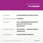 Остеоспермум ампельный Osticade Magenta (срез/3шт) — что приедет