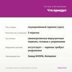 Остеоспермум ампельный Osticade Magenta (срез/3шт) — что приедет