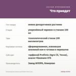 Остеоспермум ампельный Plaisir Pink (0,1л) — что приедет