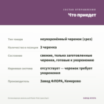 Остеоспермум ампельный Plaisir Pink (срез/3шт) — что приедет
