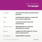 Остеоспермум ампельный Plaisir Purple (0,1л) — что приедет