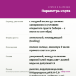 Остеоспермум ампельный Plaisir Purple (0,1л) — параметры сорта