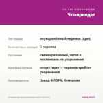 Остеоспермум ампельный Plaisir Purple (срез/3шт) — что приедет