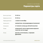 Остеоспермум Banana Shake (0,1л) — параметры сорта