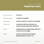 Остеоспермум Banana Shake (срез/3шт) — параметры сорта
