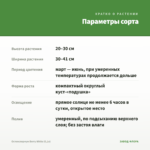 Остеоспермум Berry White (0,1л) — параметры сорта