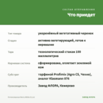 Остеоспермум Berry White (0,1л) — что приедет