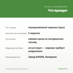 Остеоспермум Berry White (срез/3шт) — что приедет