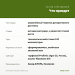 Остеоспермум Blueberry Shake (0,1л) — что приедет