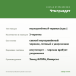 Остеоспермум Blueberry Shake (срез/3шт) — что приедет