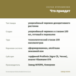 Остеоспермум Dalina Double Enrico (0,1л) — что приедет