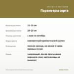 Остеоспермум Dalina Double Enrico (срез/3шт) — параметры сорта