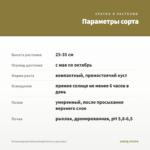 Остеоспермум Dalina Double Enrico (срез/3шт) — параметры сорта