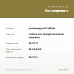Остеоспермум Dalina Double Enrico (срез/3шт) — как укоренить черенок