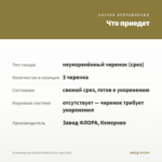 Остеоспермум Dalina Double Enrico (срез/3шт) — что приедет