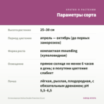 Остеоспермум Dalina Double Francisco (0,1л) — параметры сорта