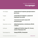 Остеоспермум Dalina Double Francisco (0,1л) — что приедет