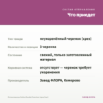 Остеоспермум Dalina Double Francisco (срез/3шт) — что приедет