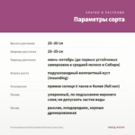 Остеоспермум Dalina Double Francisco (срез/3шт) — параметры сорта