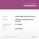 Остеоспермум Dalina Double Francisco (срез/3шт) — как укоренить черенок