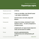 Остеоспермум Dalina Double Pedro (0,1л) — параметры сорта