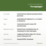 Остеоспермум Dalina Double Pedro (0,1л) — что приедет