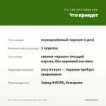 Остеоспермум Dalina Double Pedro (срез/3шт) — что приедет