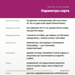 Остеоспермум Фловер Повер Кристал Пинк (Flower Power Crystal Pink) (0,1л) — параметры сорта