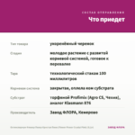 Остеоспермум Фловер Повер Кристал Пинк (Flower Power Crystal Pink) (0,1л) — что приедет
