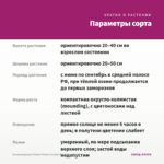 Остеоспермум Flower Power Crystal Pink (срез/3шт) — параметры сорта