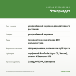 Остеоспермум Flower Power Spider White (0,1л) — что приедет