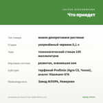 Остеоспермум Flower Power Spider White (0,1л) — что приедет