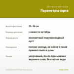 Остеоспермум Flower Power Tropic Sun (0,1л) — параметры сорта