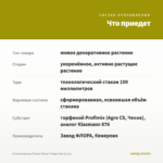 Остеоспермум Flower Power Tropic Sun (0,1л) — что приедет