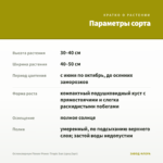 Остеоспермум Flower Power Tropic Sun (срез/3шт) — параметры сорта