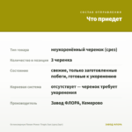 Остеоспермум Flower Power Tropic Sun (срез/3шт) — что приедет