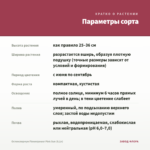 Остеоспермум Flowerpower Pink Sun (0,1л) — параметры сорта