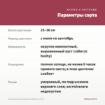 Остеоспермум Flowerpower Pink Sun (0,1л) — параметры сорта