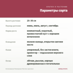 Остеоспермум Flowerpower Pink Sun (срез/3шт) — параметры сорта