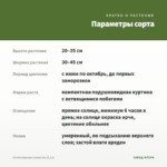Остеоспермум Lemon Ice (0,1л) — параметры сорта