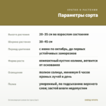Остеоспермум Lemon Ice (срез/3шт) — параметры сорта