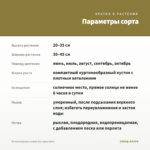 Остеоспермум Lemon Ice (срез/3шт) — параметры сорта