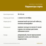 Остеоспермум махровый 3D Yellow'18 (0,1л) — параметры сорта