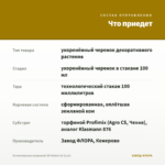 Остеоспермум махровый 3D Yellow'18 (0,1л) — что приедет