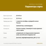 Остеоспермум махровый 3D Yellow'18 (срез/3шт) — параметры сорта