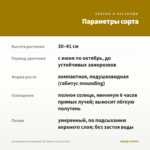Остеоспермум махровый 3D Yellow'18 (срез/3шт) — параметры сорта