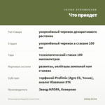 Остеоспермум Margarita Creme (0,1л) — что приедет